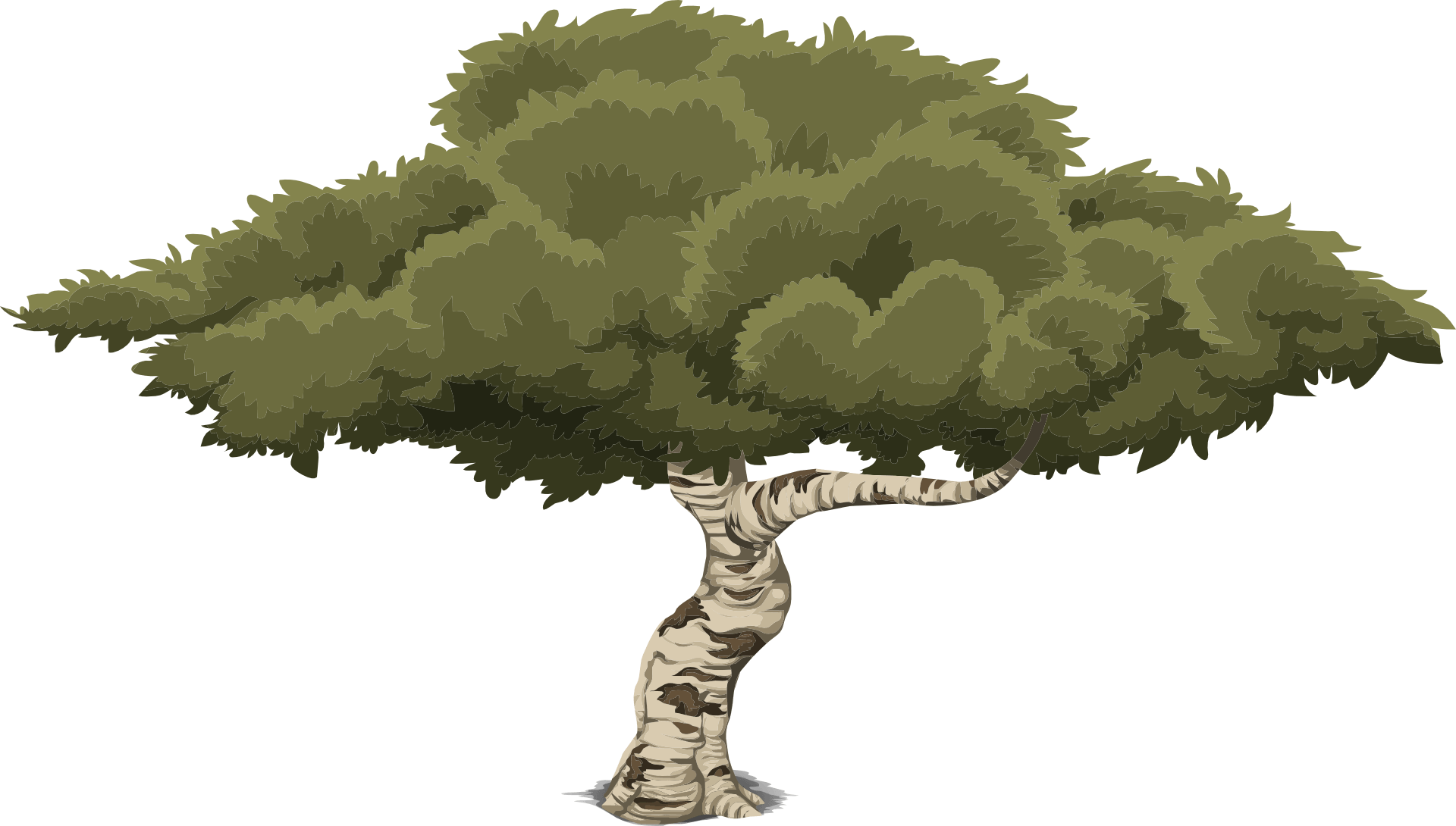 tree image on footer